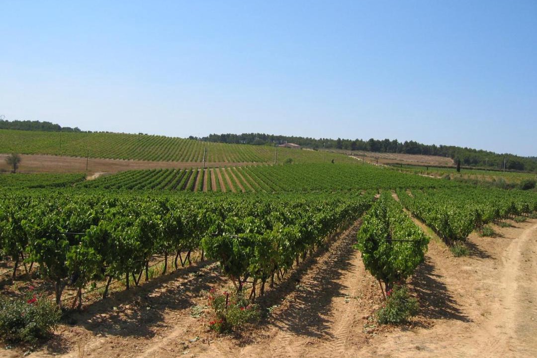 Photo of Others in Pertuis