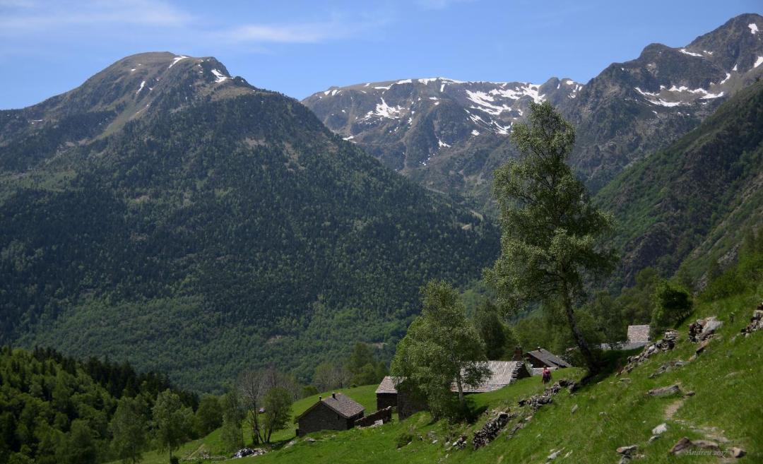 Photo of Others in Tavascan