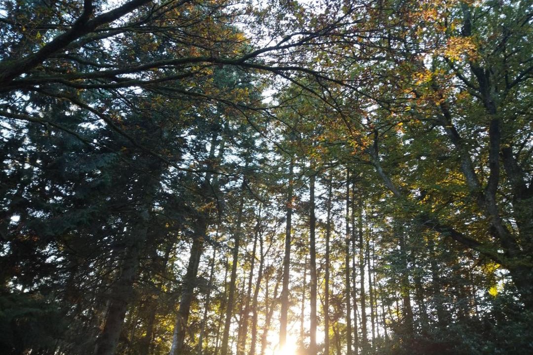 Photo of Others in Paimpont