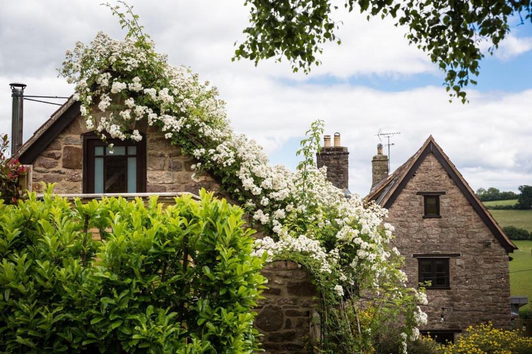 Photo of Buildings in Cinderford