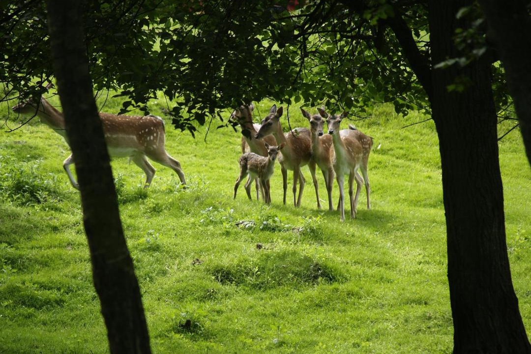 Photo of Others in Rebild Municipality