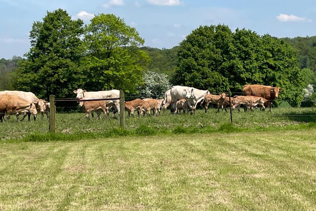 Photo of Others in Neuve-Maison