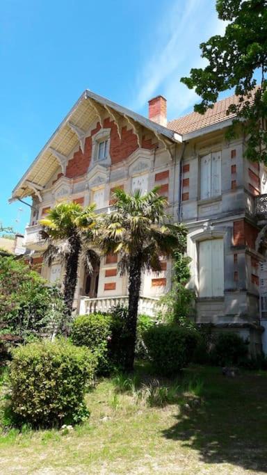 Photo of Others in Arcachon