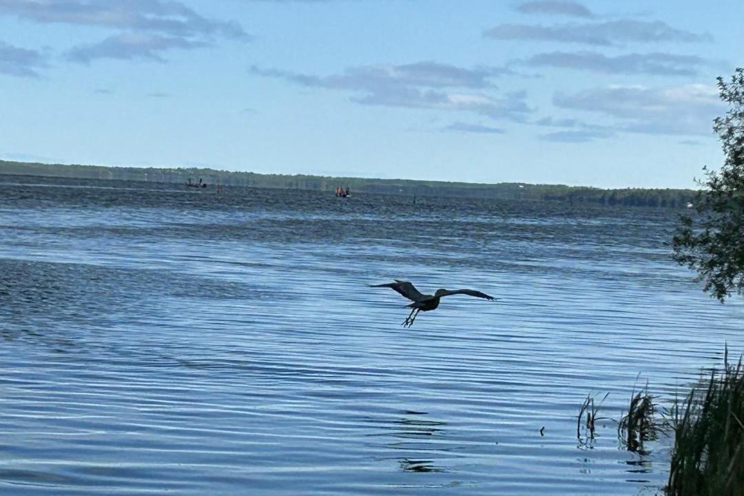 Photo of Others in Lindsay