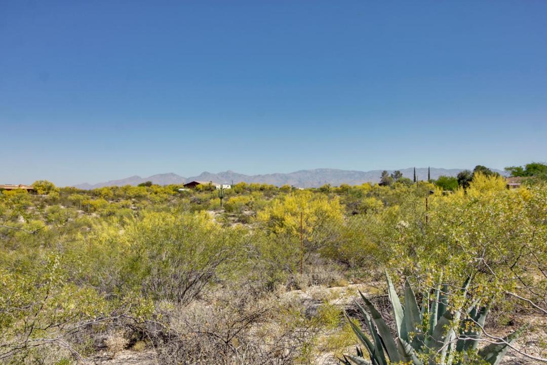 Photo of Others in Tucson