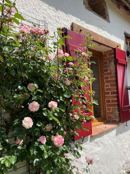 Photo of Others in Fourilles