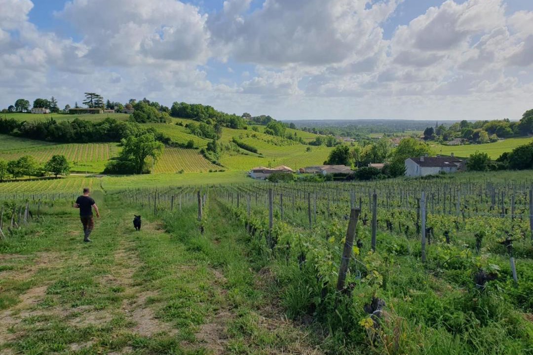 Photo of Others in Fronsac