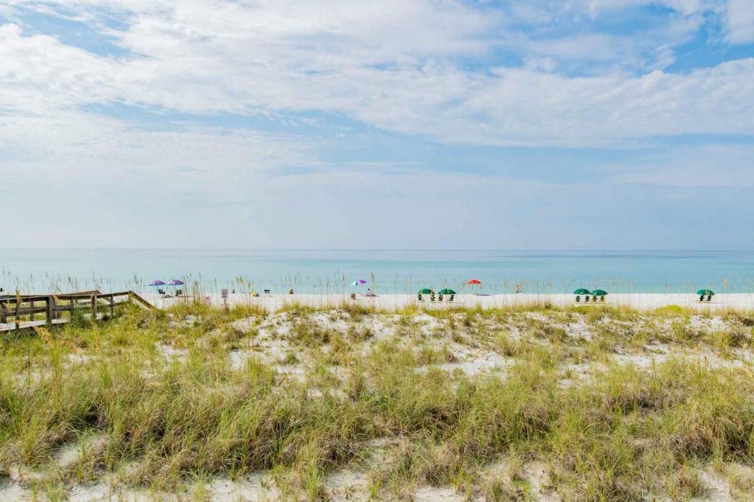 Photo of Others in Pensacola Beach