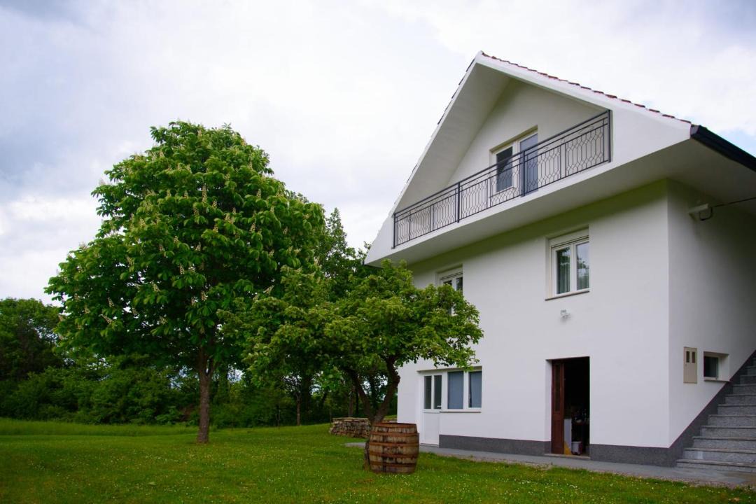 Photo of Buildings in Vrlika