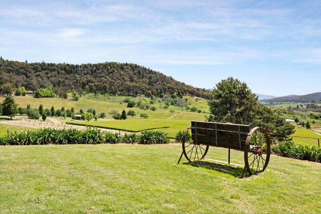 Photo of Others in Bright