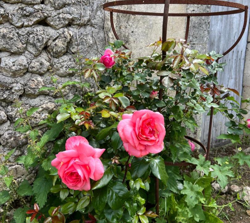 Photo of Others in Champagne-et-Fontaine