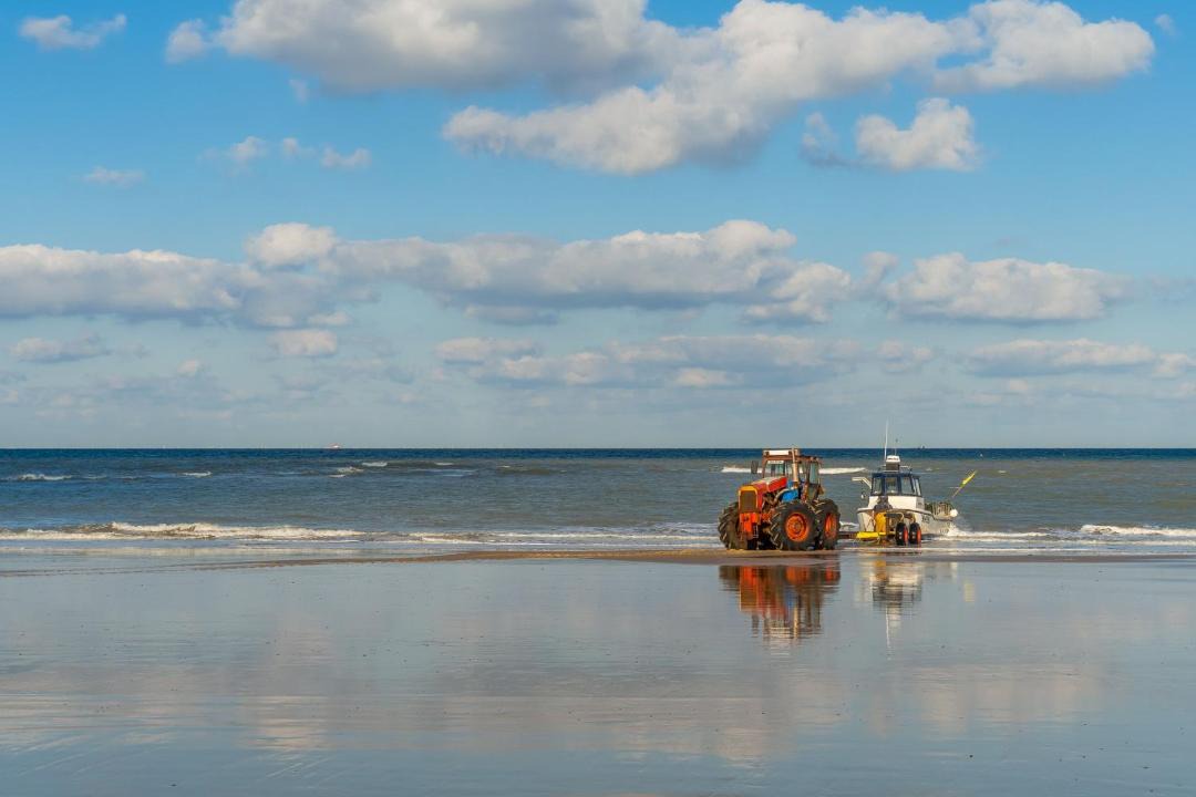Photo of Others in East Runton