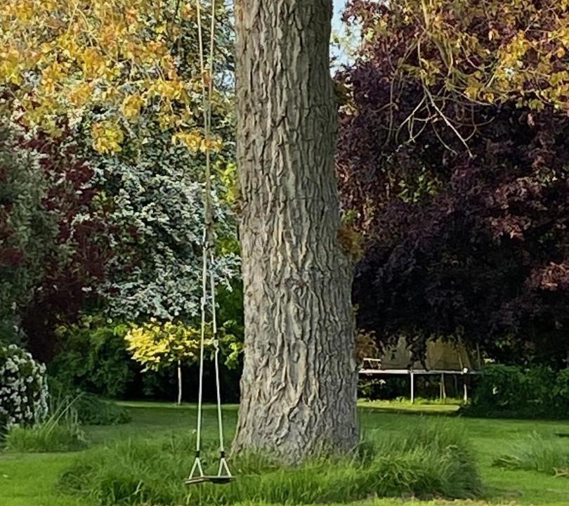 Photo of Buildings in Blackford