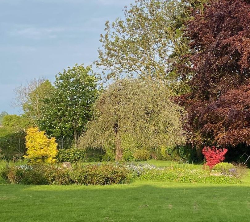 Photo of Outdoor in Blackford