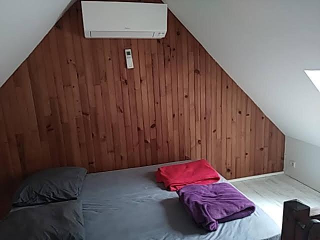 Photo of Bedroom in Chenerailles