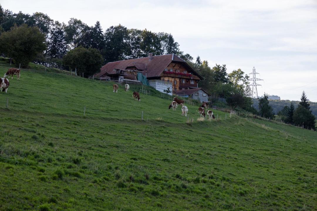 Photo of Others in Lohnstorf