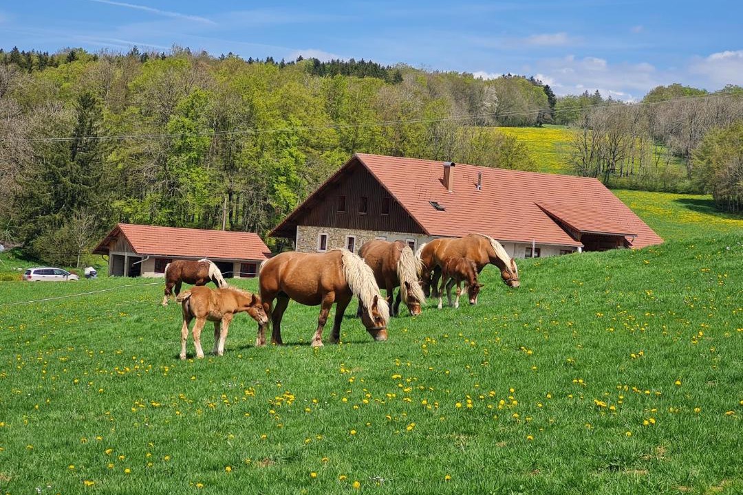 Photo of Others in Arcon