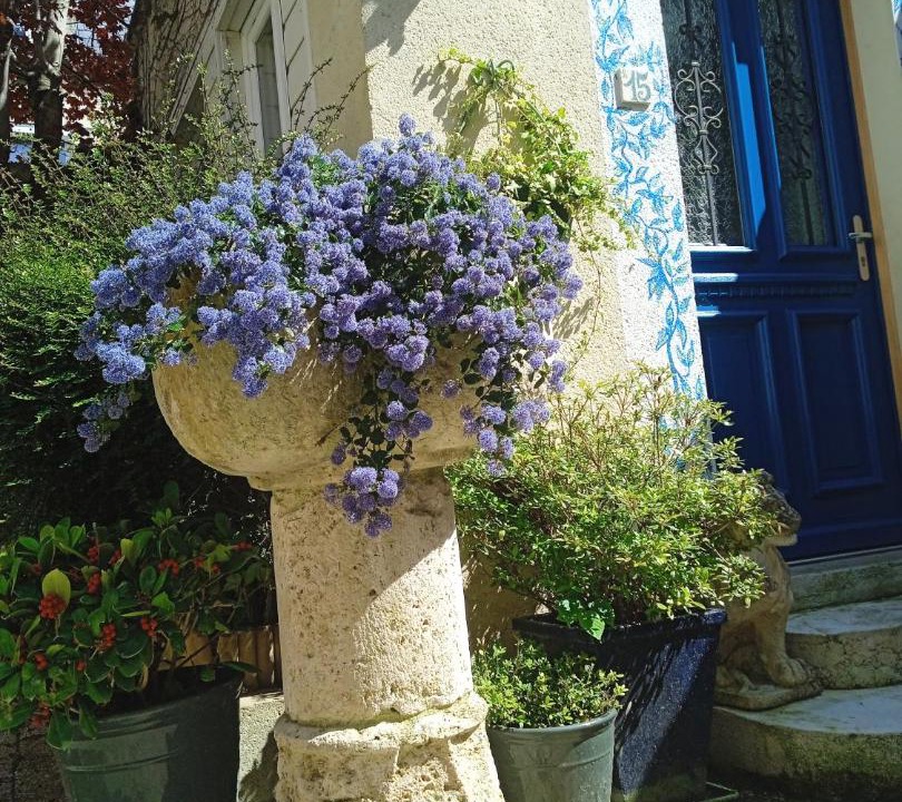 Photo of Others in Saint-Regnobert-de-la-Cote-de-Nacre