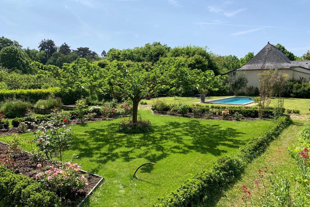 Photo of Others in Menil