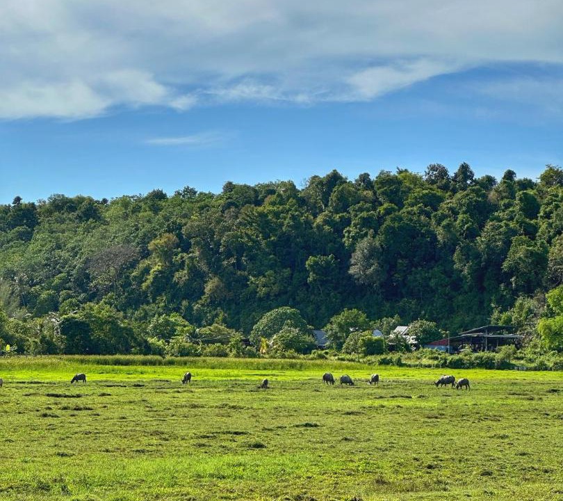 Photo of Others in Pantai Tengah