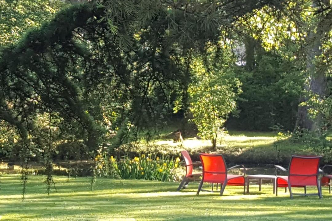 Photo of Others in Saint-Ay