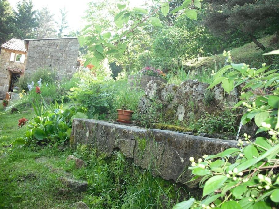 Photo of Others in Bozas