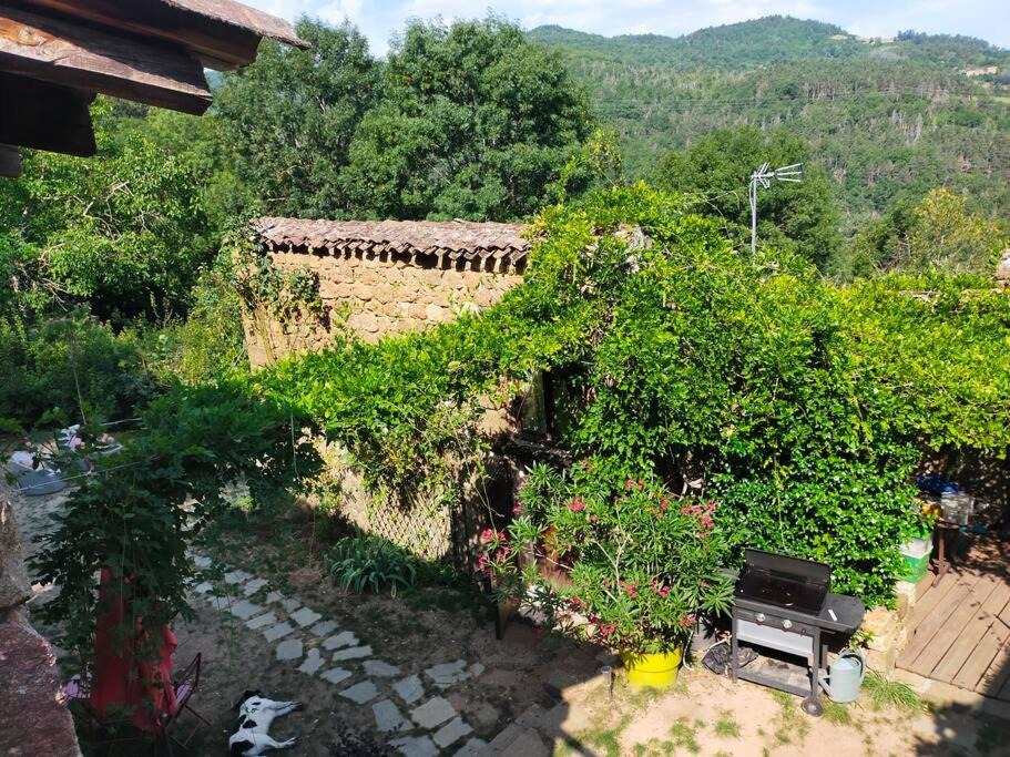 Photo of Others in Bozas