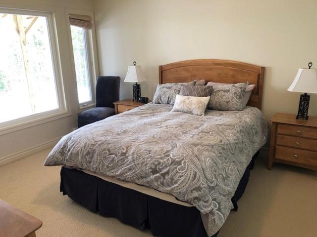 Photo of Others in Humber Valley