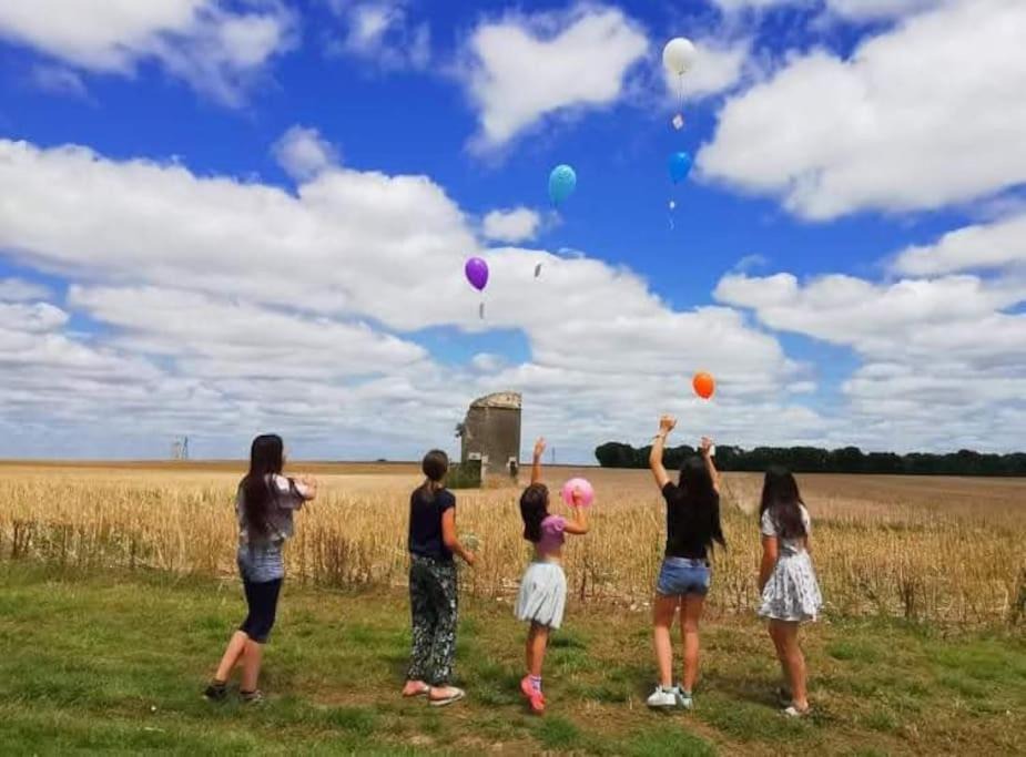 Photo of Others in Nuaille d'Aunis