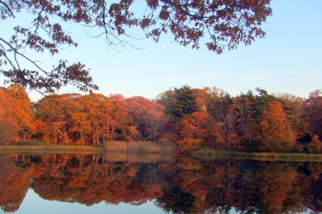 Photo of Others in The Heights