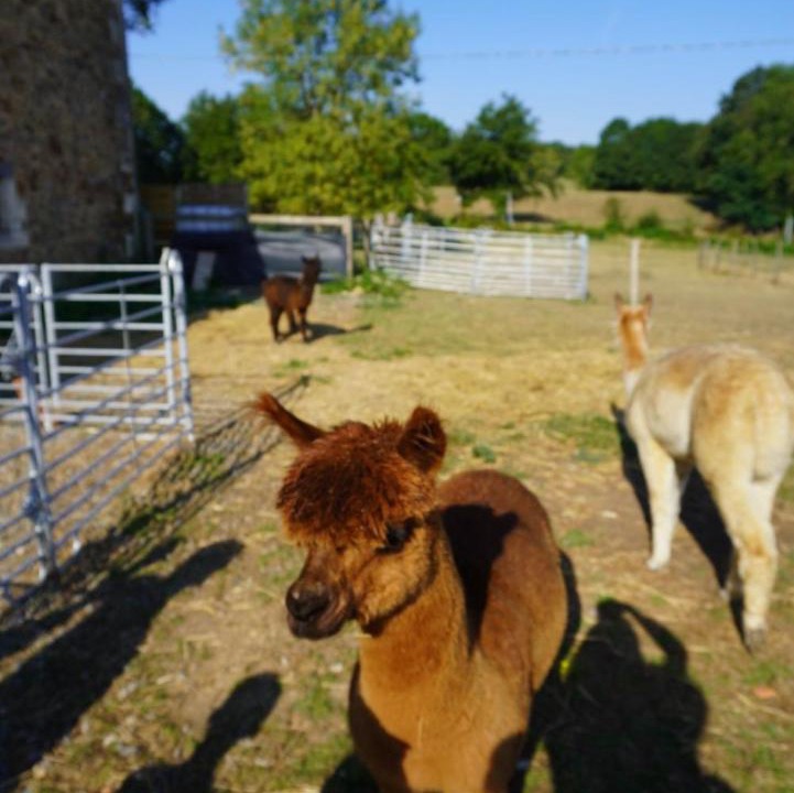 Photo of Others in Champagnac-la-Riviere