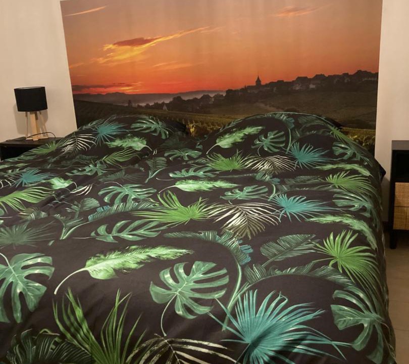 Photo of Bedroom in Rouffach