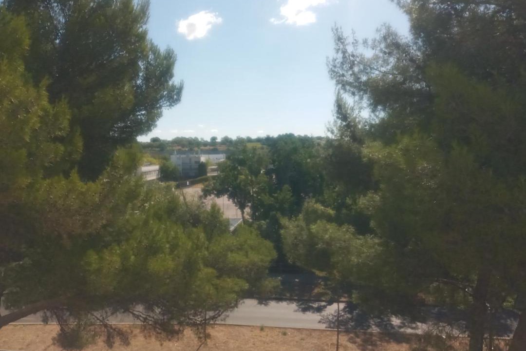 Photo of Others in Mosson