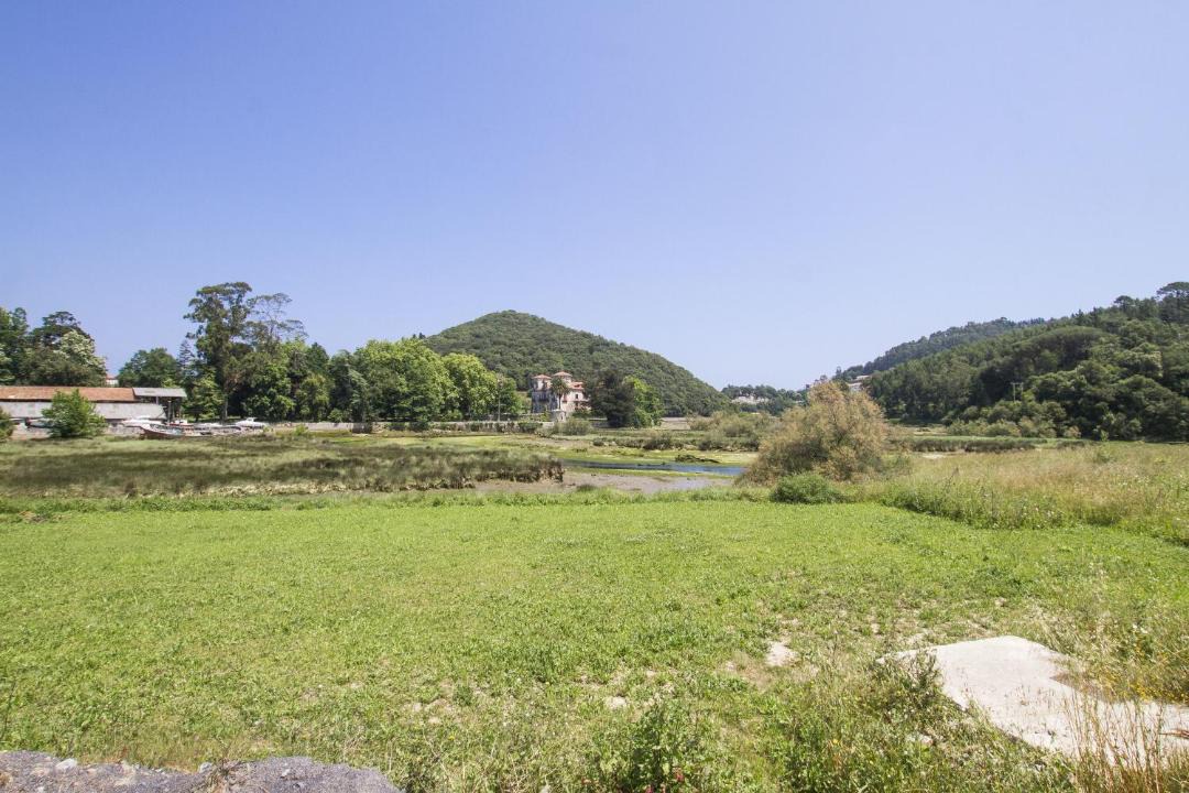 Photo of Others in Leagi