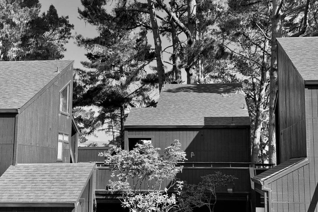 Photo of Others in Marconi