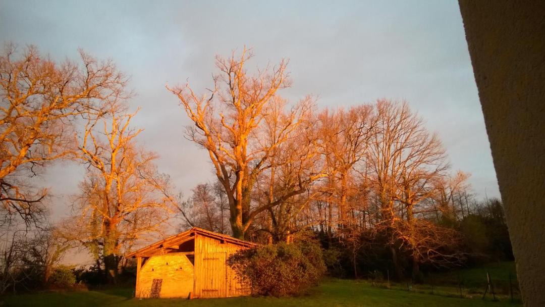 Photo of Others in Laglorieuse