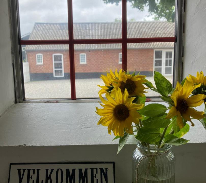 Photo of Others in Hejnsvig