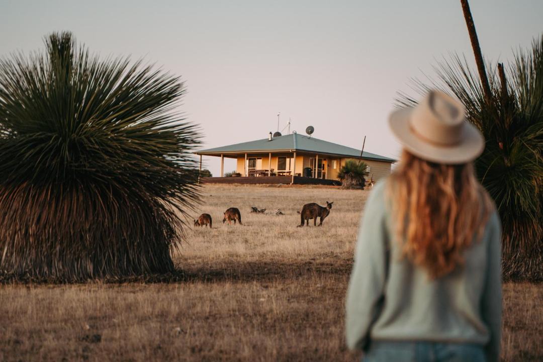 Photo of Others in Seddon