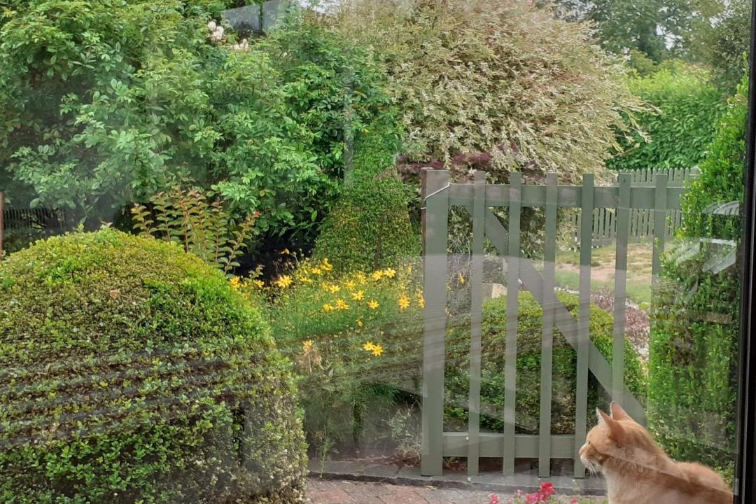 Photo of Others in Saint-Sylvestre-de-Cormeilles