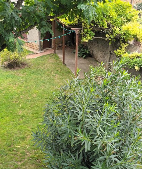 Photo of Others in Alet-les-Bains