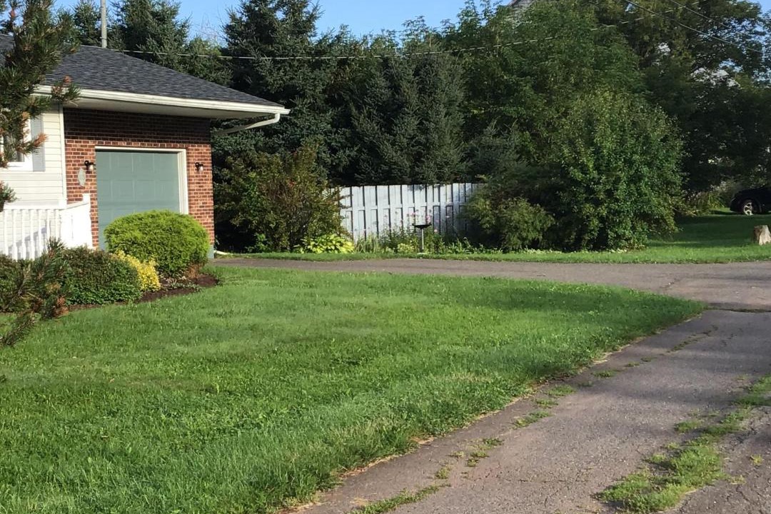 Photo of Others in Summerside