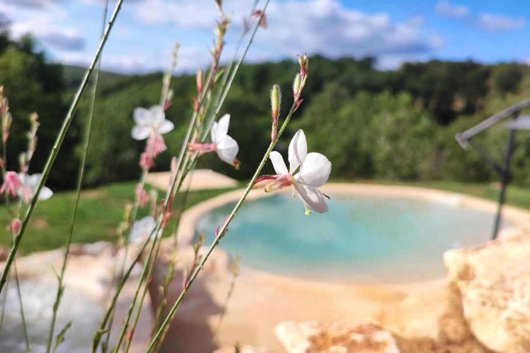 Photo of Outdoor in Cazillac