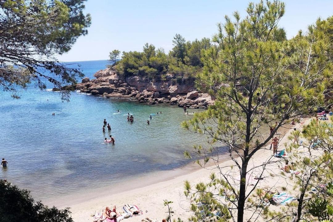 Photo of Others in Calafat