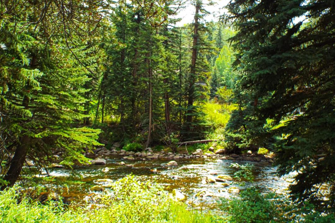 Photo of Others in Vail