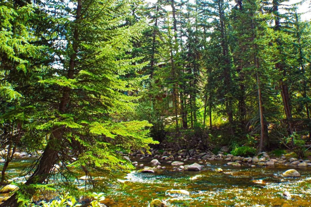 Photo of Others in Vail