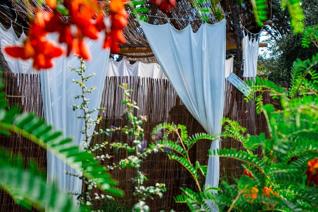 Photo of Others in Belgodere