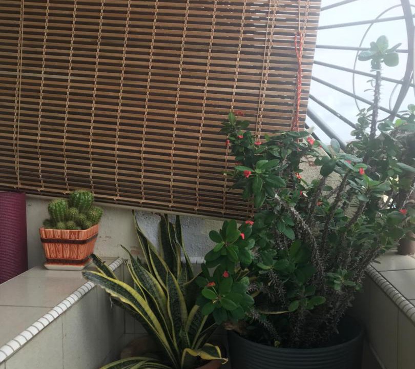 Photo of Others in Taman Haji Zainal