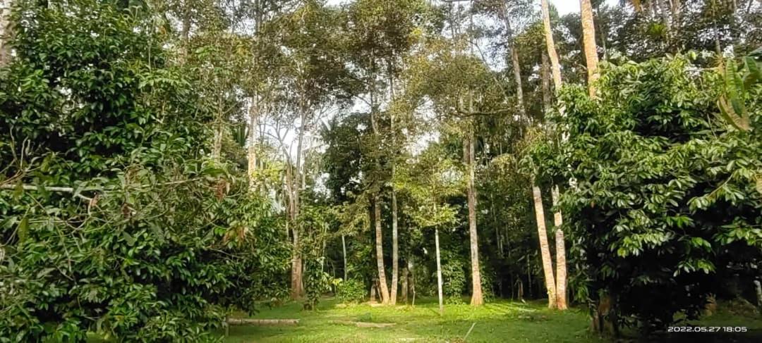 Photo of Others in Baling District