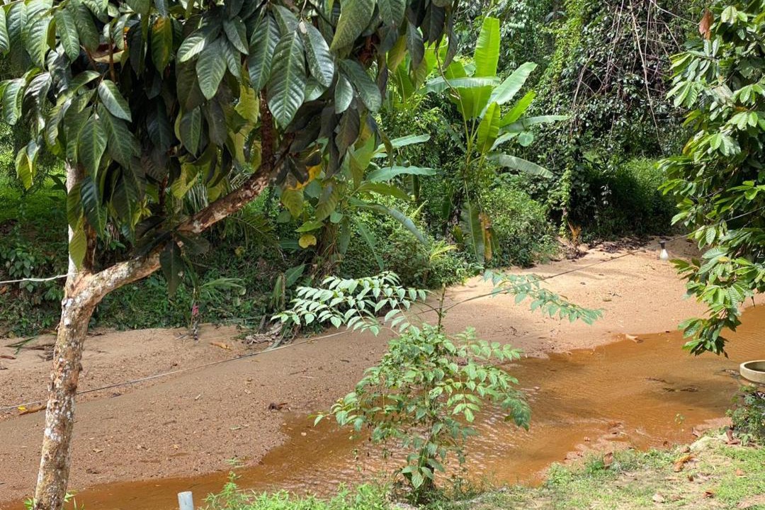 Photo of Others in Baling District