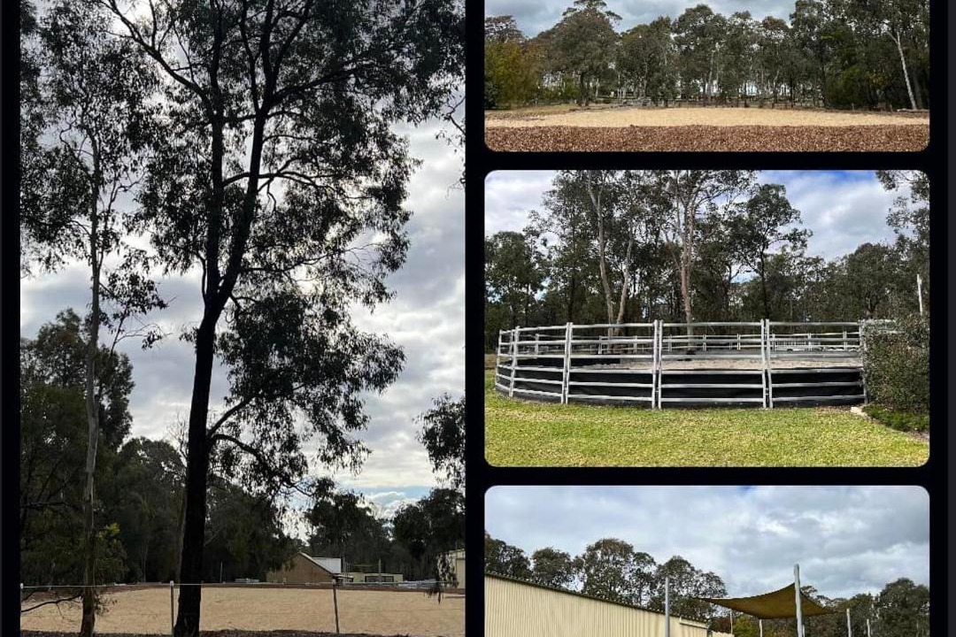 Photo of Others in Bargo